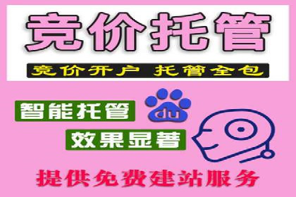 百度移动端应用推广策略探讨